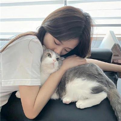 秦时明月之沧海横流 在线观看